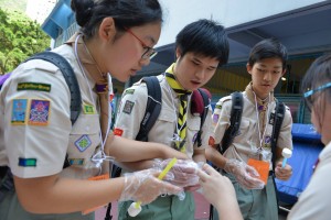 13123311 1614693732188020 8841977343140600005 o